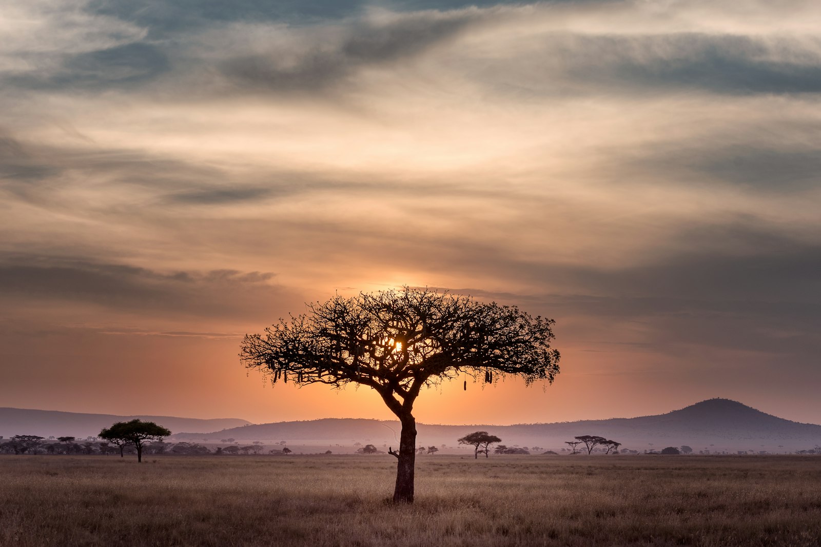 Family Safari to Tanzania: Serengeti, Ngorongoro & Zanzibar Beach for AU$34,540