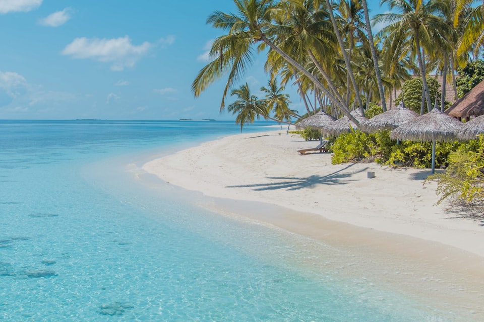How Much Does a Family Trip to Sri Lanka Cost in 2026?