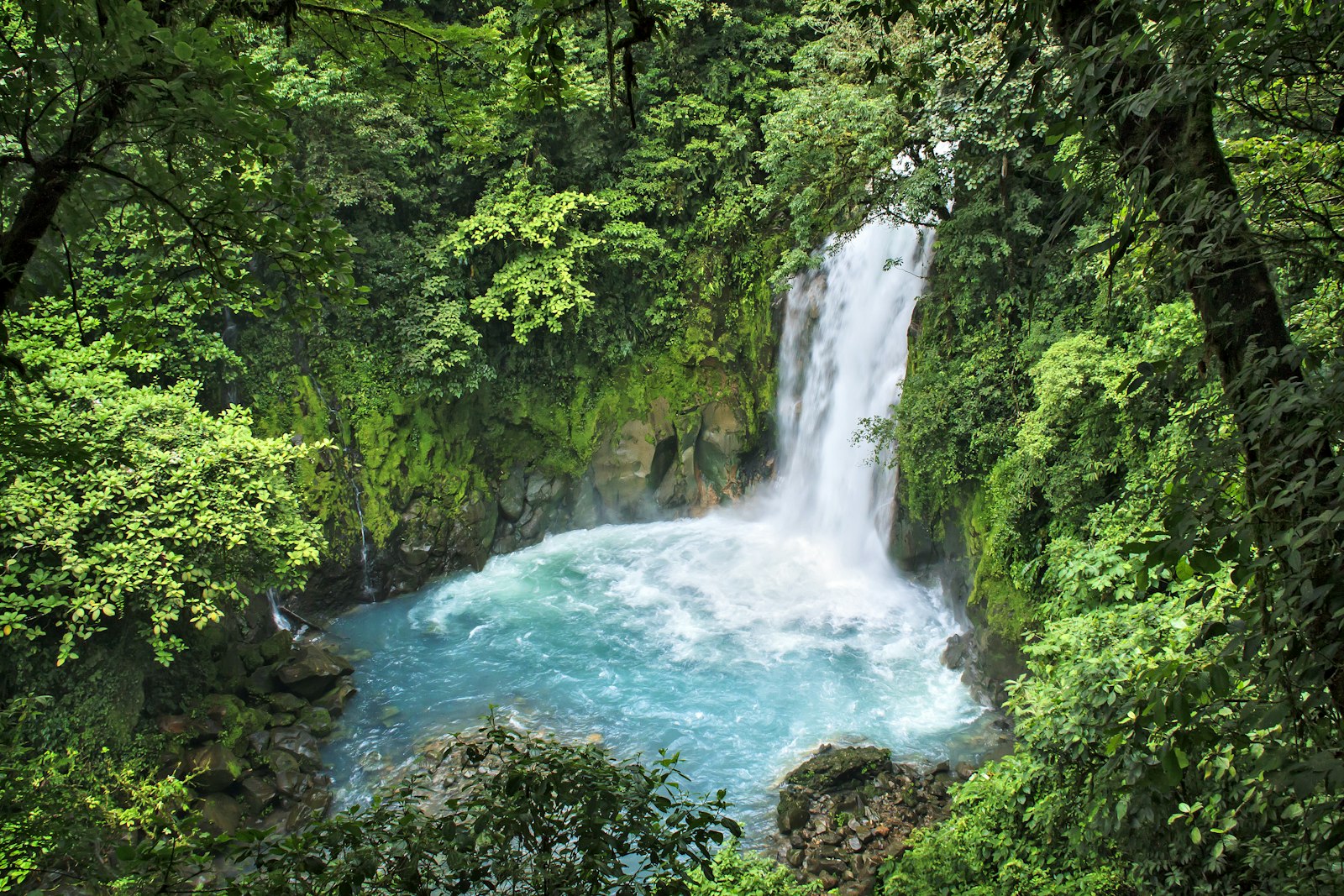 Costa Rica Family Trip for AU$12,560 (10 Days): Sloths, Volcanoes & Cloud Forests