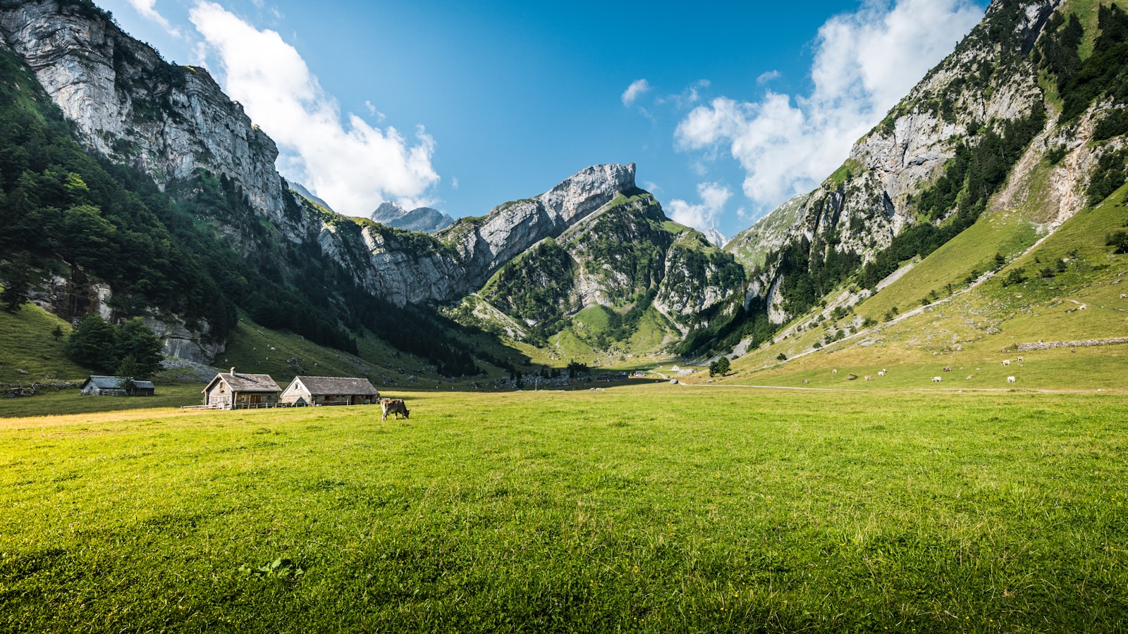 10 Days in Switzerland for a Family of 4