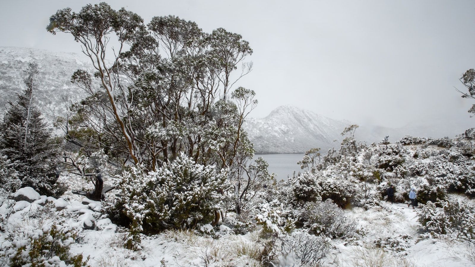 10 Days in Tasmania for a Family of 4